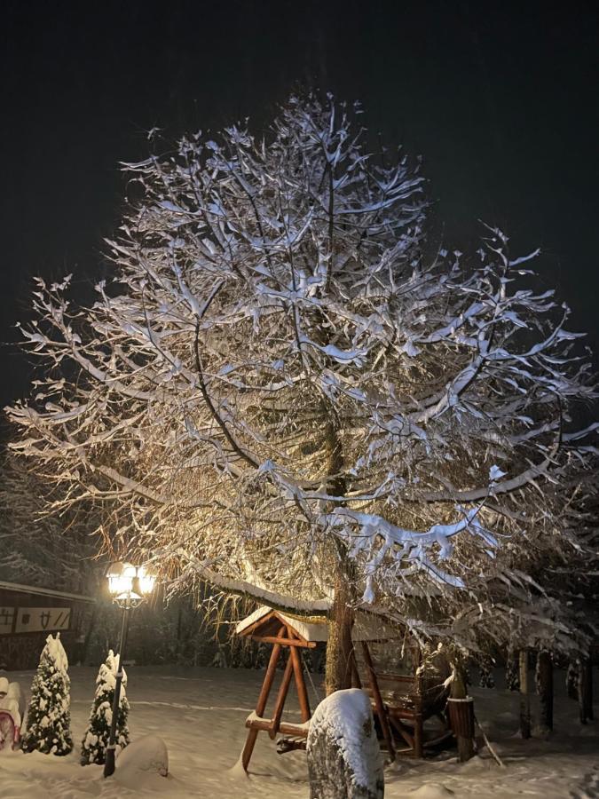 Cabana Din Groapa Frumoasa Rîşnov Extérieur photo