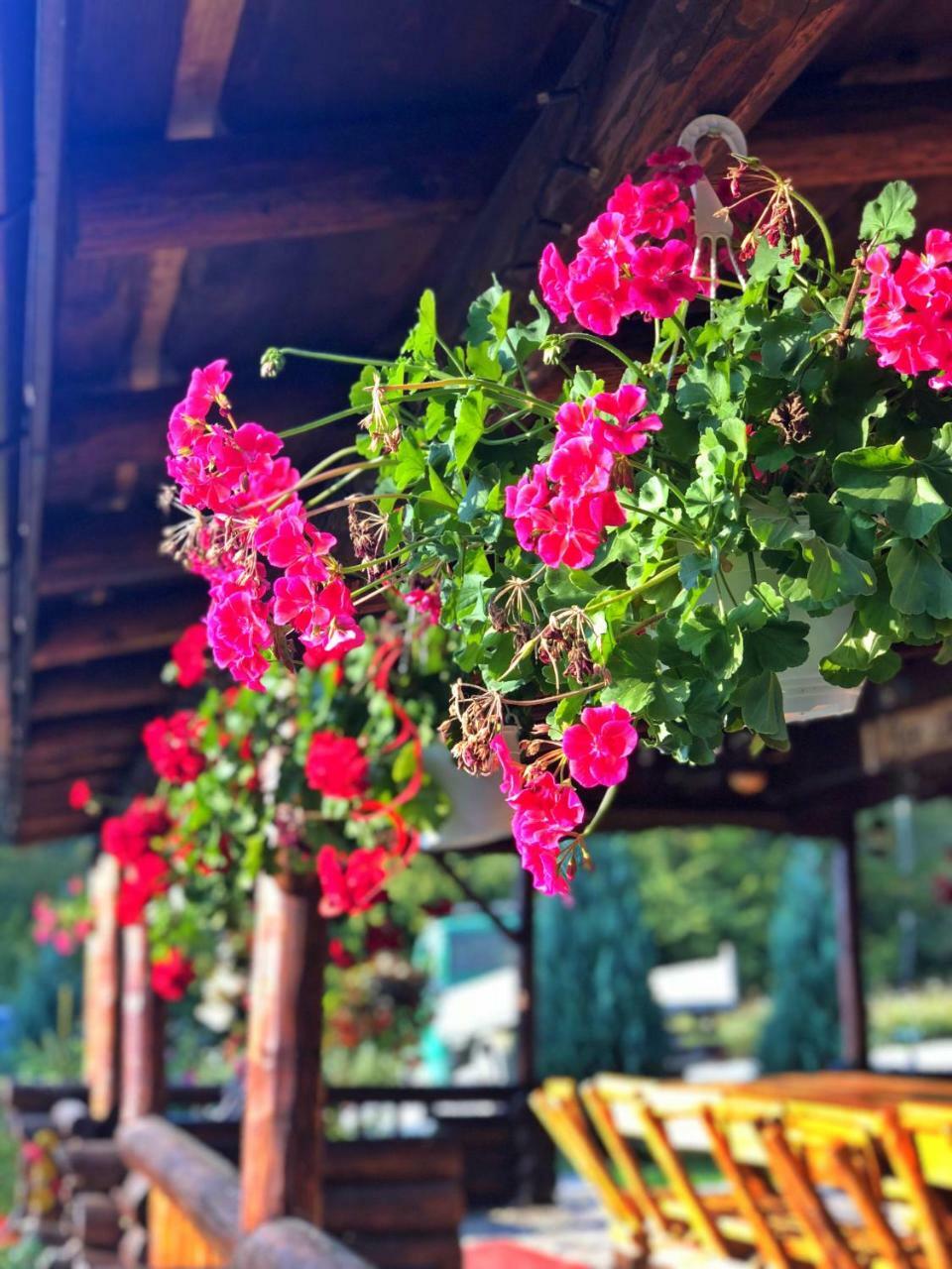 Cabana Din Groapa Frumoasa Rîşnov Extérieur photo
