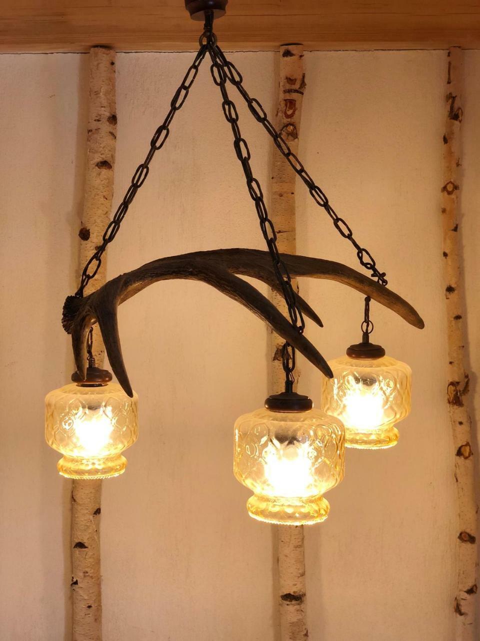 Cabana Din Groapa Frumoasa Rîşnov Extérieur photo